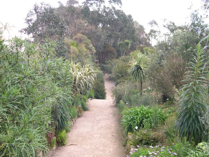  végétation du jardin exotique